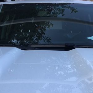 Meet your Posher, Maxx